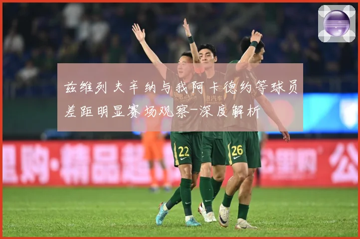 兹维列夫辛纳与我阿卡德约等球员差距明显赛场观察-深度解析
