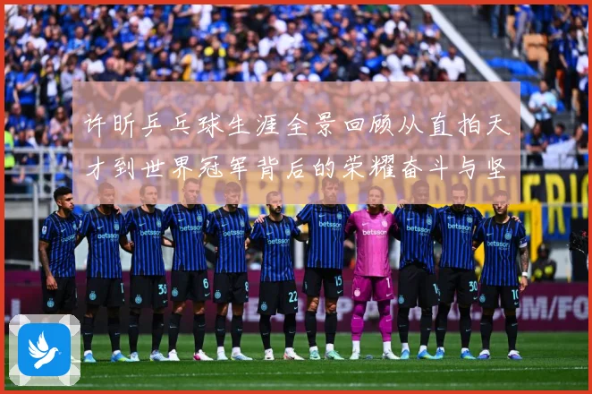 许昕乒乓球生涯全景回顾从直拍天才到世界冠军背后的荣耀奋斗与坚持之路-深度解析