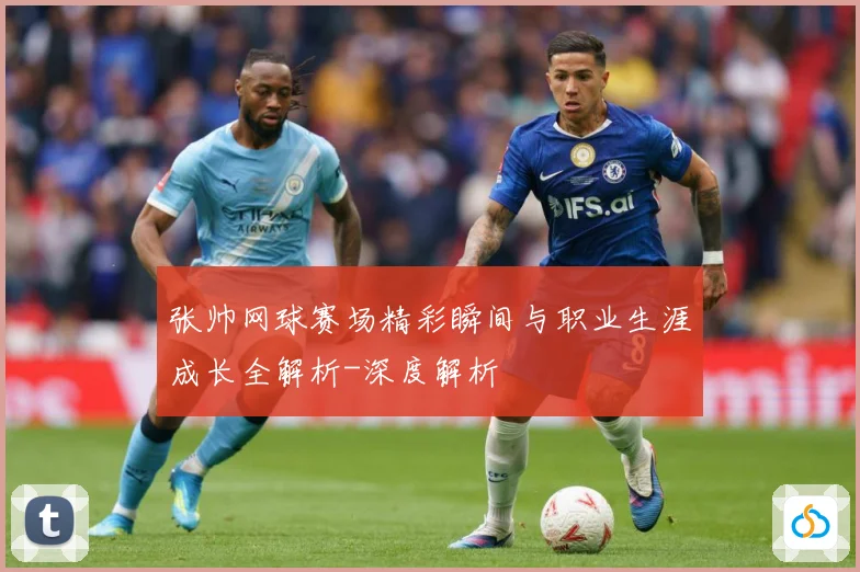 张帅网球赛场精彩瞬间与职业生涯成长全解析-深度解析