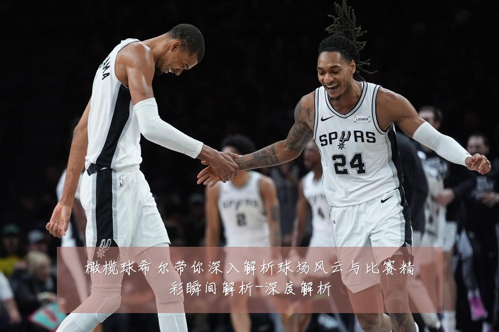 橄榄球希尔带你深入解析球场风云与比赛精彩瞬间解析-深度解析