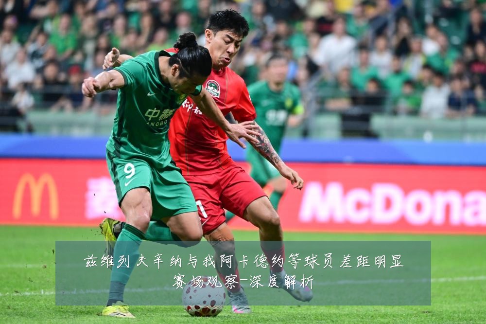 兹维列夫辛纳与我阿卡德约等球员差距明显赛场观察-深度解析