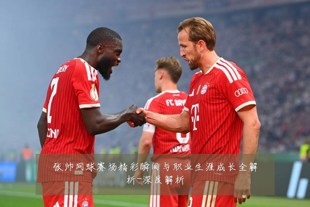 张帅网球赛场精彩瞬间与职业生涯成长全解析-深度解析