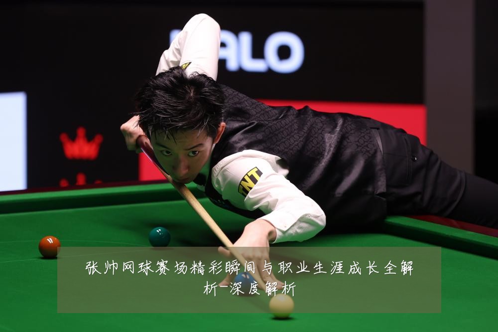 张帅网球赛场精彩瞬间与职业生涯成长全解析-深度解析
